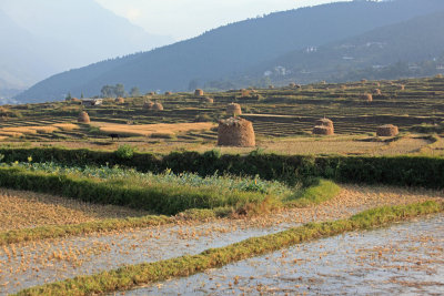 Fields near Yoaka