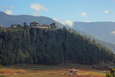 Gangtey Goemba from the valley floor