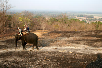 Elephant trekking