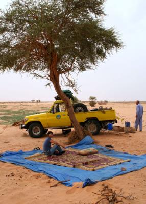 Lunch in the shade of  lone tree