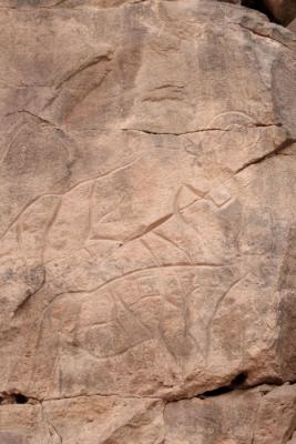 Buffalo petroglyph, Wadi Matkhandoush.