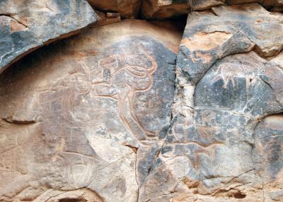 Ostrich petroglyph