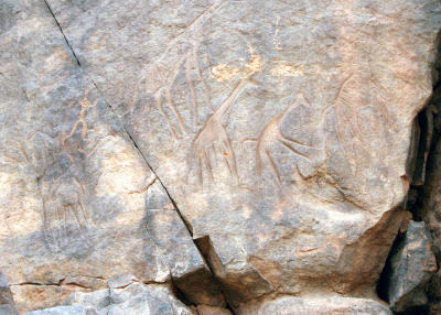 Giraffe petroglyph