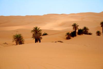 Wadi Gebraoun