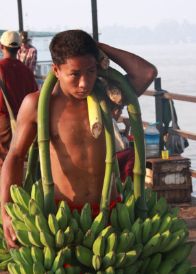 Bananas for the market