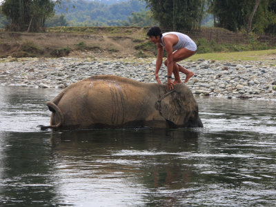 Malikha Lodge elephant bath