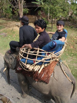 Elephants at Malikha Lodge