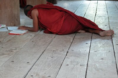 Studious Bagaya Kyaung monk