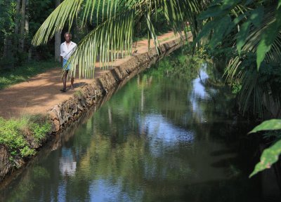 Life on the river bank