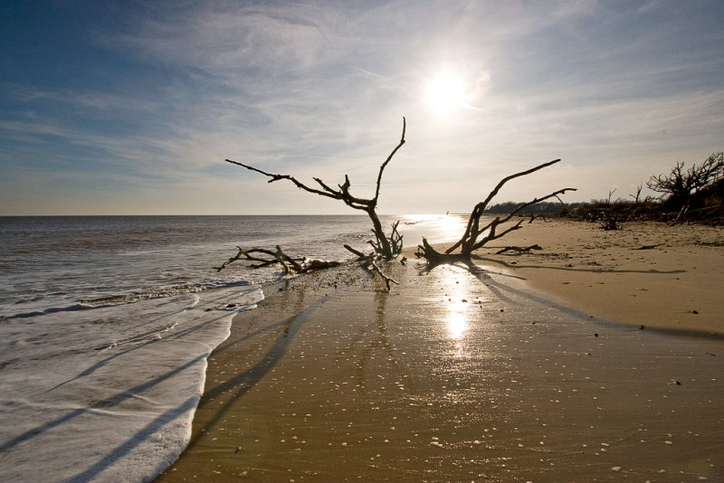 _MG_4404 benacre.jpg