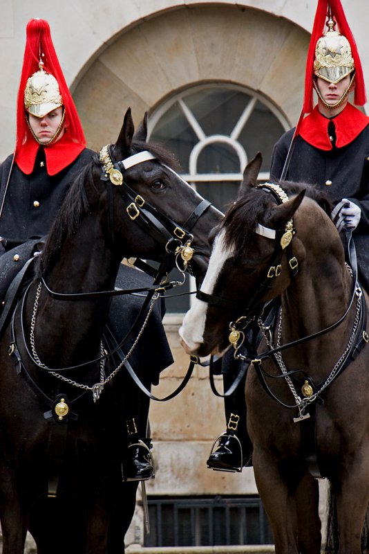 _MG_5091 horseguards.jpg