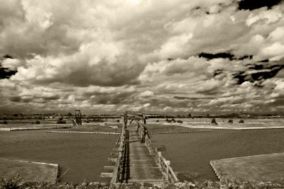 _MG_7819 tilbury fort2.jpg