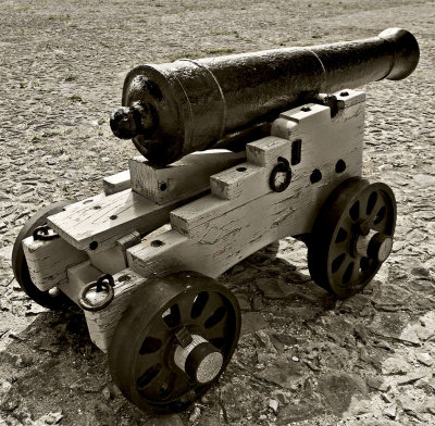 _MG_7822 tilbury fort.jpg