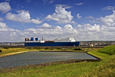 _MG_7838 tilbury fort.jpg