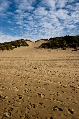 IMG_0305 crantock beach.jpg