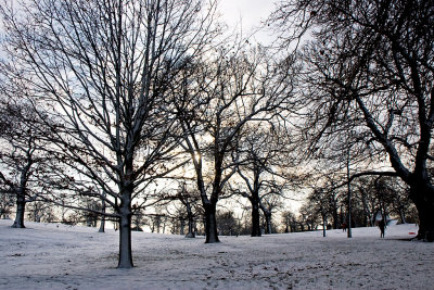 _MG_3399 greenwich.jpg