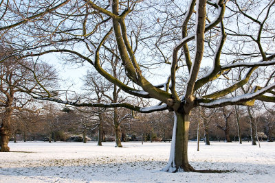 _MG_3435 greenwich.jpg