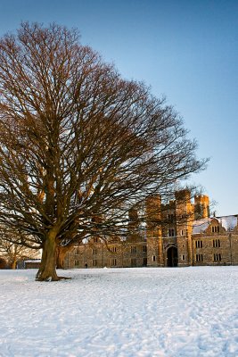 _MG_3541 knole.jpg