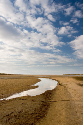_MG_4720 holkham.jpg