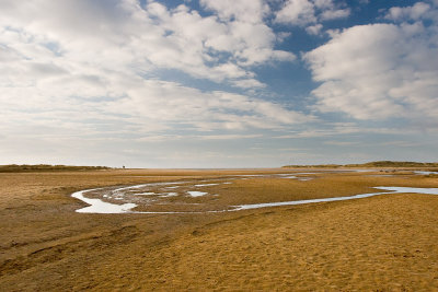 _MG_4721 holkham.jpg