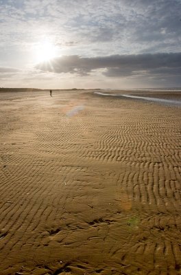 _MG_4759 holkham.jpg