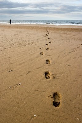 _MG_4763 holkham.jpg
