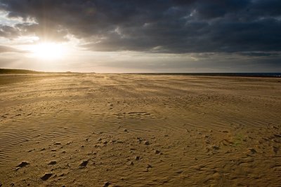 _MG_4807 holkham.jpg