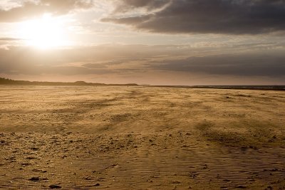 _MG_4818 holkham.jpg