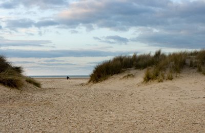 _MG_4846 holkham.jpg