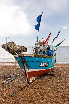 _MG_5263 hastings.jpg