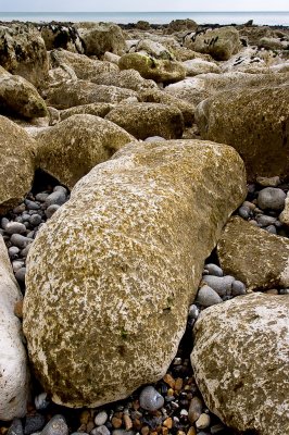 _MG_5473 seven sisters.jpg