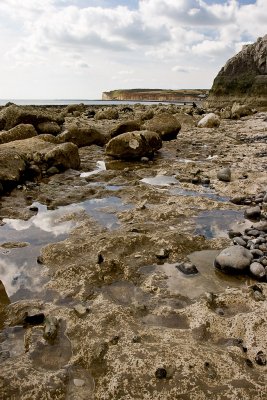 _MG_5475 seven sisters.jpg