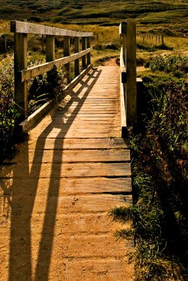 0213 holywell bay.jpg