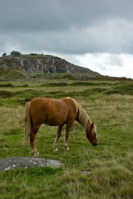 0340 bodmin moor.jpg