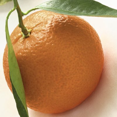 5296 orange.jpg