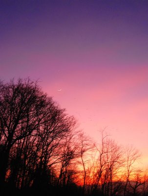 Sunset again - there is one a day after all.