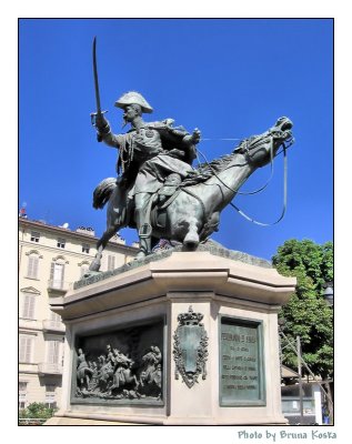 The injured horse