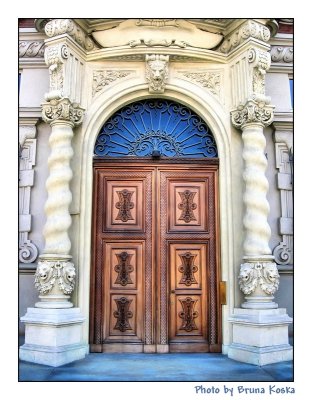 The lions door