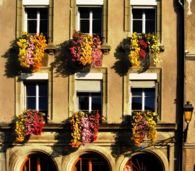 Flowered