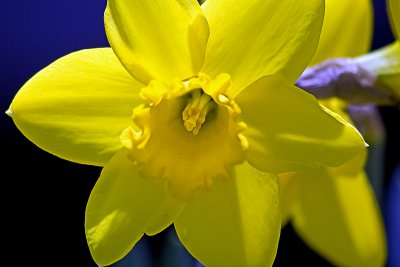 Spring Is Here
