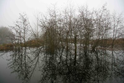 IMG_9940.jpg