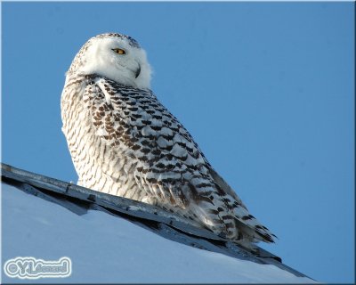DSC_6114.jpg