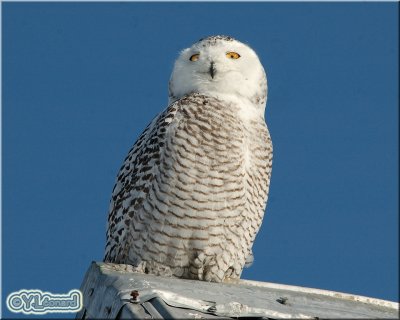 DSC_6175.jpg