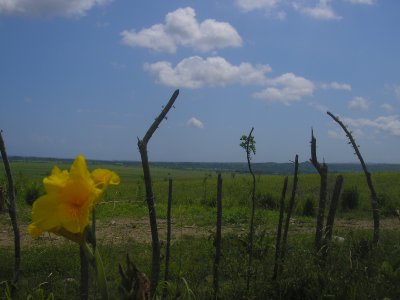 Puerto Plata