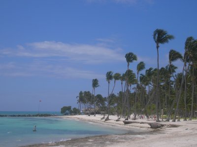 Dominican Republic 2010- 2011