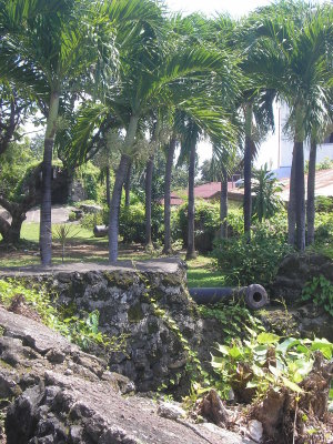 Fort San Pedro Cebu