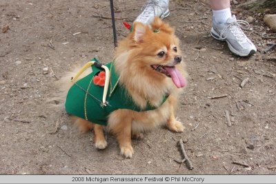 archery dog