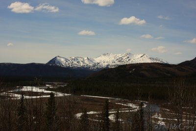 IMG_5653.JPG
