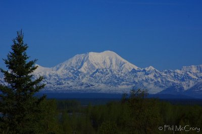 IMG_6151.JPG