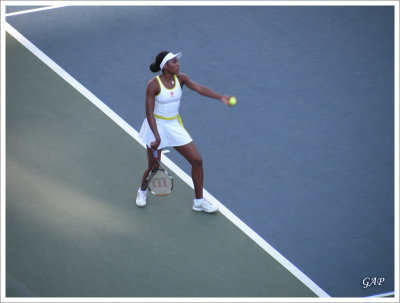 Venus Williams